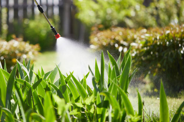 Tamper-Resistant Bait Stations for Rodents in West Jefferson